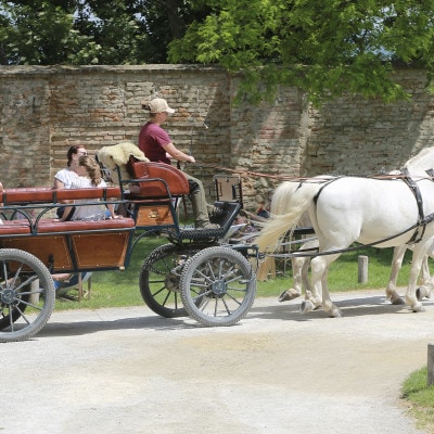 © BIO AUSTRIA NÖ&Wien/ Martin Hesz